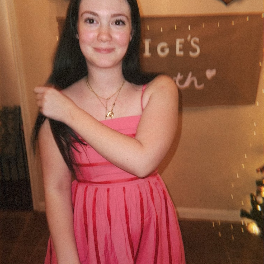 Pink Striped Dress - Picture 4 of 5